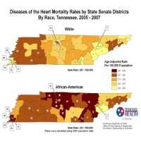 Diseases of the Heart Mortality Rate by Senate District, Tennessee 2005-2007