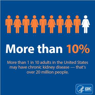 More than 10%. More than 1 in 10 adults in the United States may have chronic kidney disease - that's over 20 million people." More than 10%. More than 1 in 10 adults in the United States may have chronic kidney disease - that's over 20 million people.