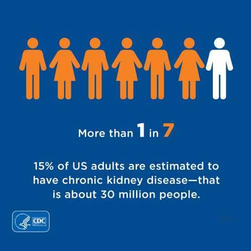More than 10%. More than 1 in 10 adults in the United States may have chronic kidney disease - that's over 20 million people.