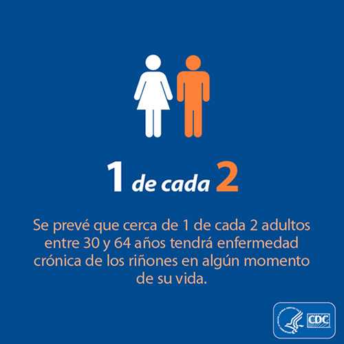 Se prevé que cerca de 1 de cada 2 adultos entre 30 y 64 años tendrá enfermedad crónica de los riñones en algún momento de su vida.