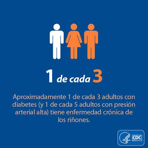 Aproximadamente 1 de cada 3 adultos con diabetes (y 1 de cada 5 adultos con presión arterial alta) tiene enfermedad crónica de los riñones.