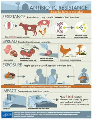 AR from Farm to Table