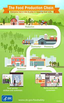Graphic of the Food Production Chain.