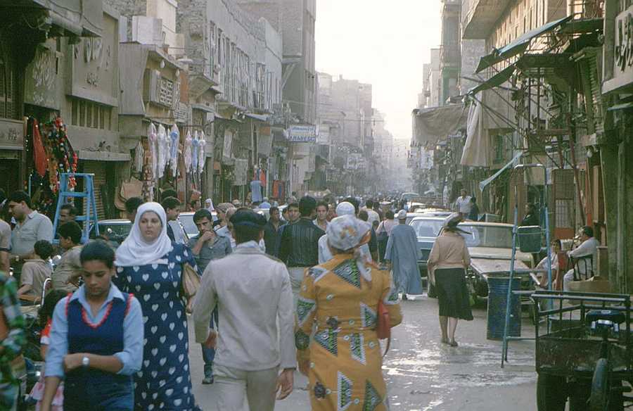 CDC working in Egypt
