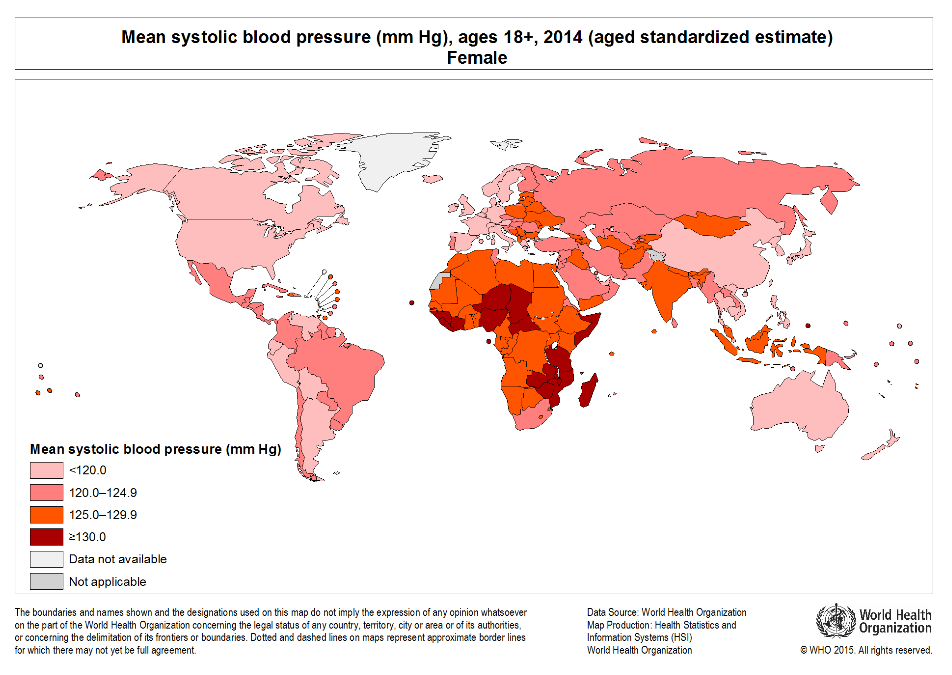people in sub-Saharan Africa are disproportionately affected by high blood pressure, a leading risk factor for stroke