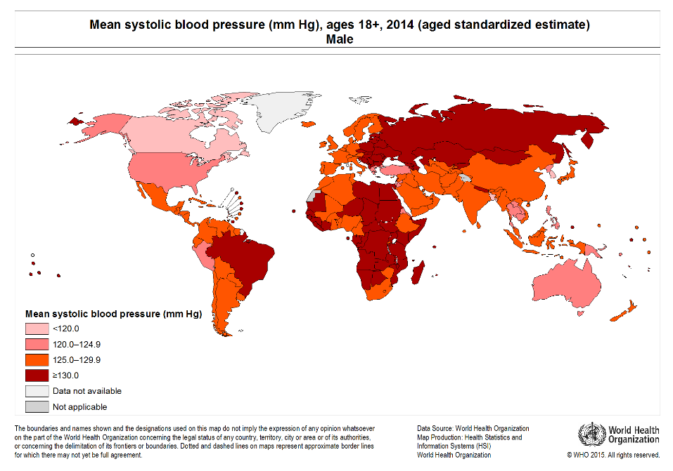 people in sub-Saharan Africa are disproportionately affected by high blood pressure, a leading risk factor for stroke