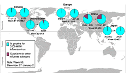 This picture depicts a map of the world that shows the co-circulation of 2009 H1N1 flu and seasonal influenza viruses. The United States, Canada, Europe, Japan and China are depicted. There is a pie chart for each that shows the percentage of laboratory confirmed influenza cases that have tested positive for either 2009 H1N1 flu or other influenza subtypes. The majority of laboratory confirmed influenza cases reported in the United States, Canada, Europe, Japan and China have been 2009 H1N1 flu.