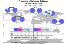 This picture depicts a map of the world that shows the co-circulation of 2009 H1N1 flu and seasonal influenza viruses. The United States, Canada, Europe, Japan and China are depicted. There is a pie chart for each that shows the percentage proportion of laboratory confirmed influenza cases that have tested positive for either 2009 H1N1 flu or other influenza subtypes. The majority of laboratory confirmed influenza cases reported in the United States, Canada, Europe, Japan and China have been 2009 H1N1 flu.