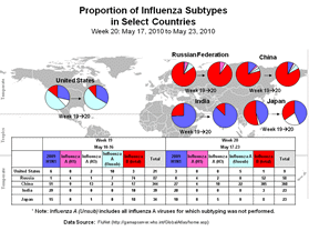 This picture depicts a map of the world that shows the co-circulation of 2009 H1N1 flu and seasonal influenza viruses. The United States, Russian Federation, China, Japan, and India are depicted. There is a pie chart for each that shows the proportion of laboratory-confirmed influenza cases that have tested positive for either 2009 H1N1 flu or other influenza subtypes. The majority of laboratory-confirmed influenza cases reported in India in weeks 19 and 20 were 2009 H1N1 flu.