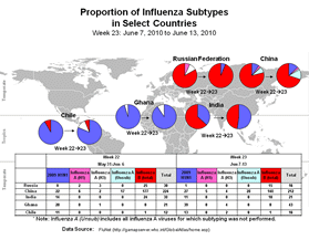 This picture depicts a map of the world that shows the co-circulation of 2009 H1N1 flu and seasonal influenza viruses. The United States, Russian Federation, China, Ghana, and India are depicted. There is a pie chart for each that shows the proportion of laboratory-confirmed influenza cases that have tested positive for either 2009 H1N1 flu or other influenza subtypes. The majority of laboratory-confirmed influenza cases reported in Ghana in weeks 21 and 22 were 2009 H1N1 flu.