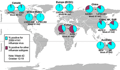 This picture depicts a map of the world that shows the co-circulation of 2009 H1N1 flu and seasonal influenza viruses. The United States, Canada, Europe, Australia, Kenya, China and Hong Kong (China) are depicted. There is a pie chart for each that shows the percentage of laboratory confirmed influenza cases that have tested positive for either 2009 H1N1 flu or other influenza subtypes. The majority of laboratory confirmed influenza cases reported in the United States, Canada, Europe, Australia, Kenya, China and Hong Kong (China) have been 2009 H1N1 flu. 
