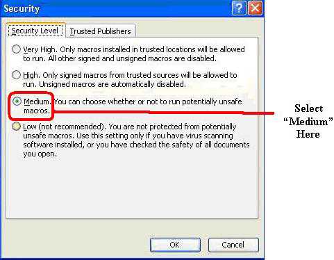 Displays the Security Level Sub-Command, which is found under the Macro's Tool menu. One should select the option of Medium to ensure that the Macros will run at all times.