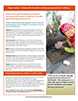 Improving Child Development factsheet