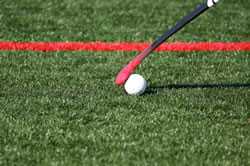photo: field hockey stick