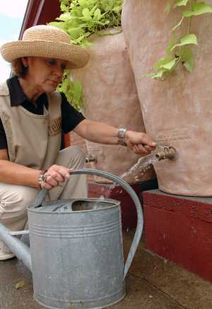woman filling rain barrel from spigot outside