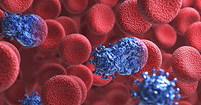 Image of red blood cells