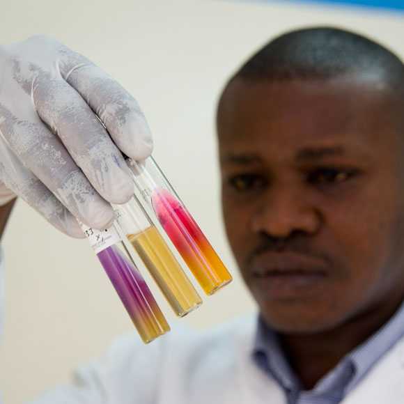 A lab worker examining 3 vials with colored liquids