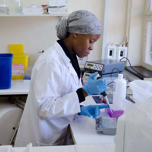 A lab worker using testing equipment