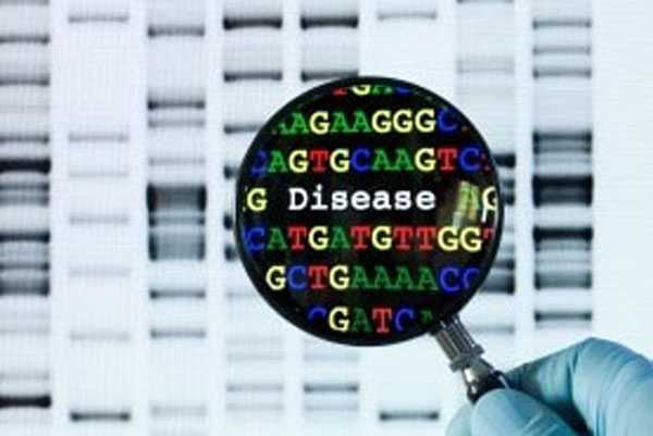 Using PFGE patterns scientists can compare bacterial DNA fingerprints using 15-30 bands while WGS reveals all the genetic material, or the genome, of a bacteria in one efficient process. That is like comparing all the words in a book (WGS) instead of just the number of chapters (PFGE).
