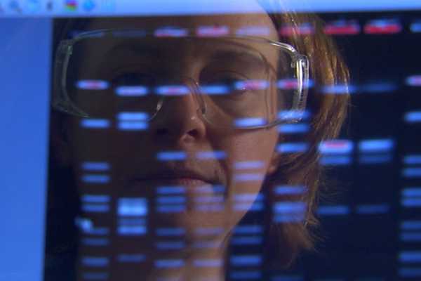 CDC scientist looks at PFGE patterns on a computer screen