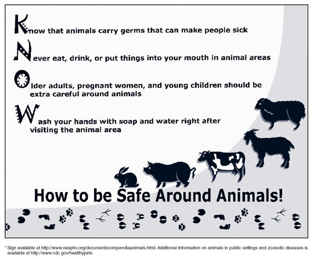 How to be safe around animals
Know that animals carry germs that can make people sick
Never eat, drink, or put things into your mouth in animal areas
Older adults, pregnant women, and young children should be extra careful around animals
Wash your hands with soap and water right after visiting the animal area
