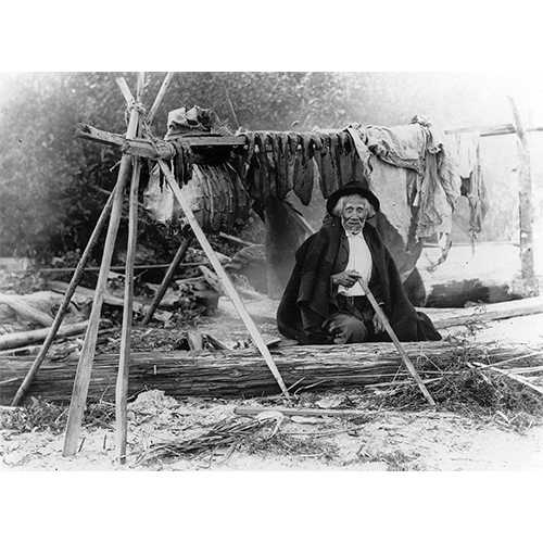 University of Washington Libraries; photograph by Norman Edson - Salishan man William We-ah-lup smoking salmon, Tulalip Indian Reservation, Washington, 1906 - With the implementation of commodity government food assistance programs, Native Americans lost time-honored cultural practices and food traditions. Erosion of healthy eating and subsequent poor health resulted. However, through persistent protest and public awareness, tribes such as those of the Pacific Northwest, fought for protection of fishing rights and today teach traditional fishing, food preparation, and environmental stewardship to Indian youth.