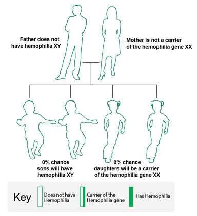 Image: In this example, the father does not have hemophilia, and the mother does not carry the hemophilia gene. None of the children (daughters or sons) will have hemophilia or carry the gene