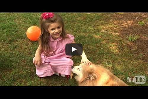 Captura de pantalla de vo