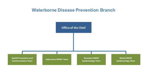 Waterborne Disease Prevention Branch Organizational Chart Organizational Chart: includes Office of the Chief and teams - Health Promotion and Communication, Laboratory WASH, Domestic WASH, and Global WASH