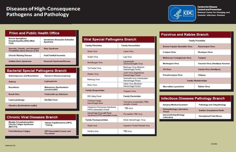 This figure is a box diagram depicting the Division of High-Consequence Pathogens and Pathology's scope of work showing through their various branches and offices, such as: Prions and Public Health Office, Bacterial Special Pathogens Branch, Chronic Viral Disease Branch, Infectious Disease Pathology Branch, Poxvirus and Rabies Branch, and Viral Special Pathogens Branch.