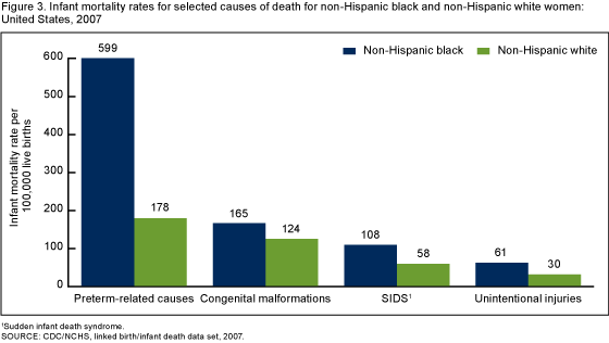 Figure 3 is a bar chart on infant mortality rates by causes of death for non-Hispanic black and non-Hispanic white women in 2007.