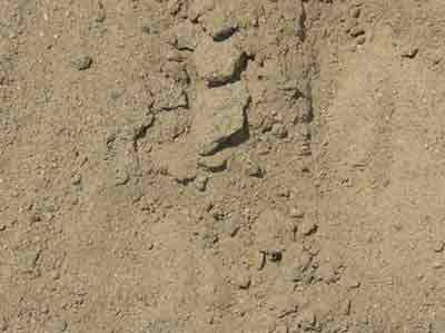 Track surface