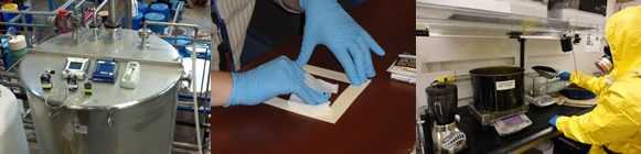 field studies study banner