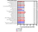 Department, Variety, General Merchandise 1985-1998