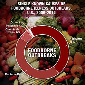 Norovirus accounted for 48% of single known causes of foodborne illness outbreaks in the U.S. from 2009 through 2012. Bacteria accounted for 46%, chemical and toxins 6% and parasites and other accounted for 1% each.