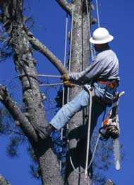Un arnés puede reducir el riesgo de muertes por caídas, Foto por cortesía de Jupiter Images.