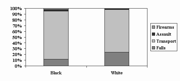 Slide 8 - Figure 6: TBI in Children Aged 5-14 Years: Proportion by Cause & Race, 1997