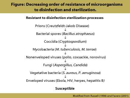 Figure 1. Decreasing order of resistance of microorganisms to disinfection and sterilization. Resistant to disinfection sterilization processes---Prions (e.g., Creutzfeldt-Jakob Disease)-Bacterial spores (Bacillus atrophaeus)--Coccidia (Cryptosporidium)--Mycobacteria (M. tuberculosis, M. terrae)--Non-enveloped viruses (polio, coxsackie, norovirus)--Fungi (Aspergillus, Candida)--Vegetative bacteria (S. aureus, P. aeruginosa--Enveloped viruses (Ebola, HIV, herpes, hepatitis B)---Susceptible. Modified from Russell (1998) and Favero (2001).
