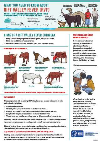 RVF Information for Veterinarians poster