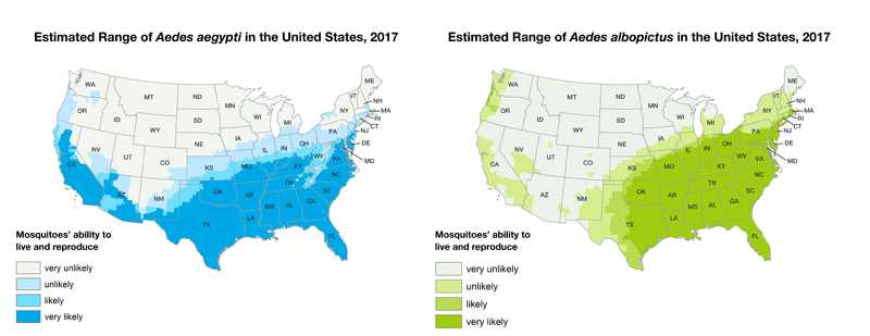 Two maps of the United States showing Aedes aegypti and Aedes albopictus mosquitoes are or have been previously found.  Aedes aegypti range is the southern half of the United States.  Aedes albopictus range is the eastern half of the United States as well as the southwest.