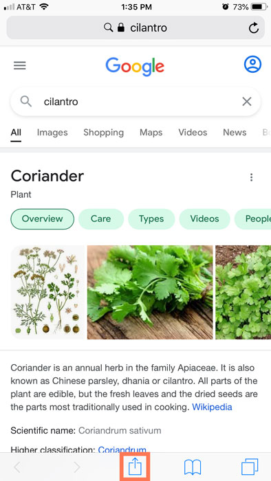 Share button in Safari Share button in Safari