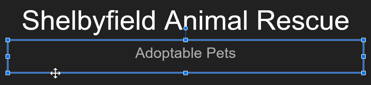 selecting a placeholder