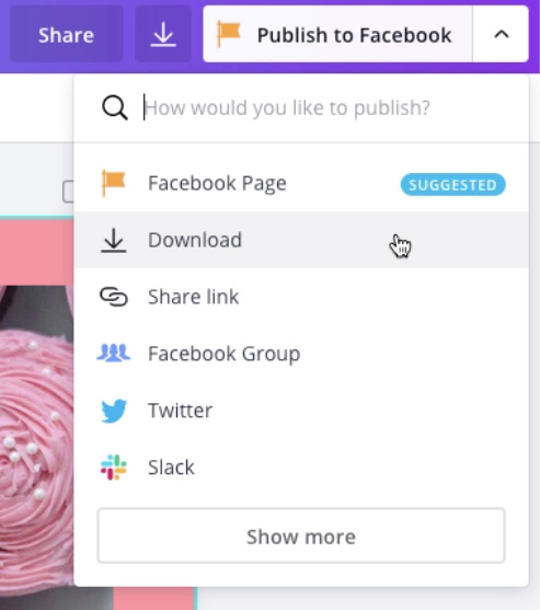 screenshot of publishing options screenshot of publishing options