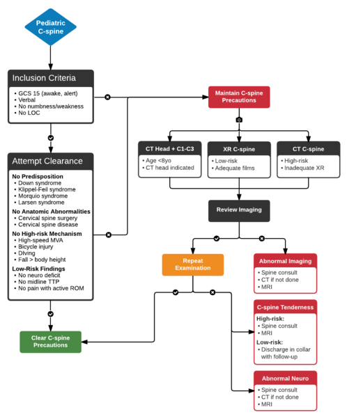 File:Pediatric cspine.png