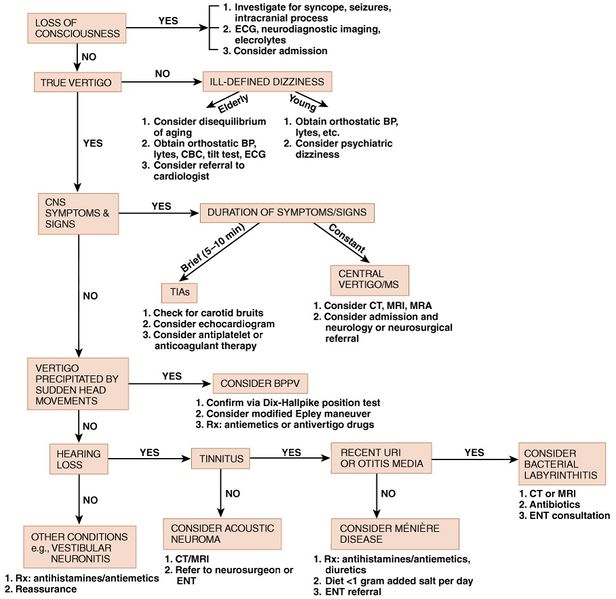 File:Vertigo and Dizziness.jpg