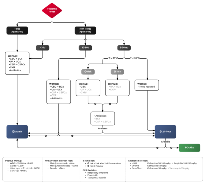 File:Pediatric Fever2.png