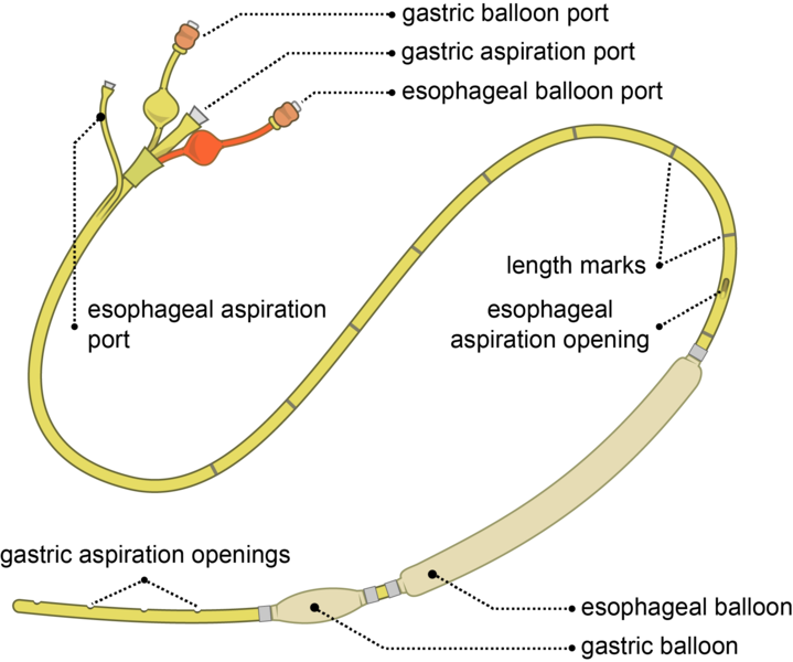 File:Sengstaken-Blakemore tube EN-2.png