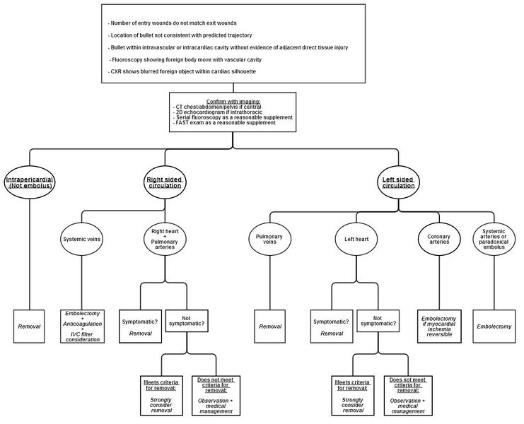 File:Missile embolism.jpg