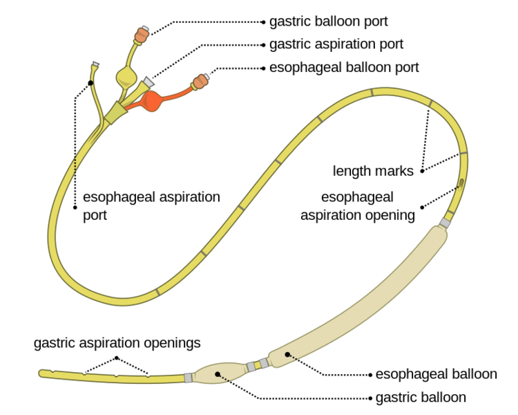 File:Sengstaken-Blakemore Tube.png