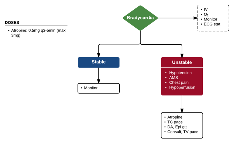 File:ACLS-bradycardia.png